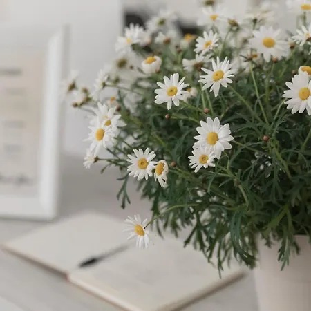 Aura-elegant In The Heart Of Apartamento Como
